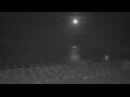 Webcam Cala Mesquida (Majorca)