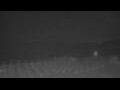 Webcam Cala Mesquida (Mallorca)