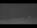 Webcam Cala Mesquida (Majorque)