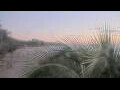 Webcam Saint-Paul
