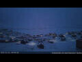 Webcam Tasiilaq