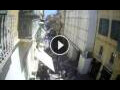 Webcam Valletta