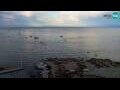 Webcam Piran