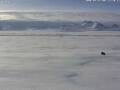 Webcam Union Glacier