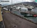 Webcam Fenit