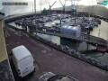 Webcam Fenit