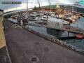 Webcam Fenit