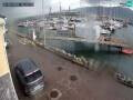 Webcam Fenit