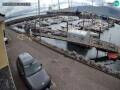 Webcam Fenit