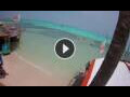 Webcam Kralendijk, Bonaire