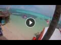 Webcam Kralendijk, Bonaire