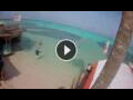Webcam Kralendijk, Bonaire