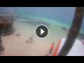 Webcam Kralendijk, Bonaire