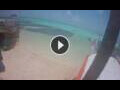 Webcam Kralendijk, Bonaire