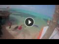 Webcam Kralendijk, Bonaire