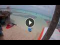 Webcam Kralendijk, Bonaire