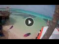 Webcam Kralendijk, Bonaire