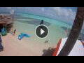 Webcam Kralendijk, Bonaire
