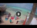 Webcam Kralendijk, Bonaire