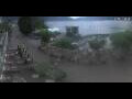 Webcam Ascona