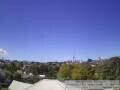 Webcam Auckland