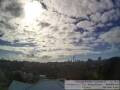 Webcam Auckland