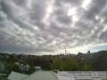 Webcam Auckland