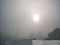 Webcam Auckland