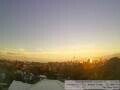 Webcam Auckland