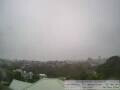 Webcam Auckland