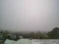 Webcam Auckland