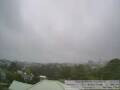 Webcam Auckland