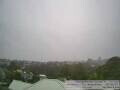 Webcam Auckland