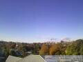 Webcam Auckland