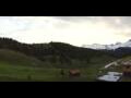 Webcam Arosa