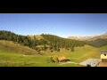 Webcam Arosa