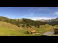 Webcam Arosa
