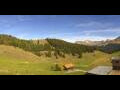 Webcam Arosa