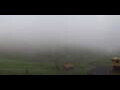 Webcam Arosa