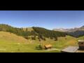 Webcam Arosa