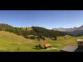 Webcam Arosa