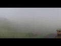 Webcam Arosa