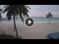 Webcam Veligandu Island (Alif Alif Atoll)