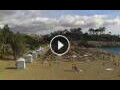 Webcam Costa Adeje (Tenerife)
