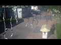 Webcam Jurmala