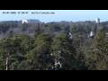 Webcam Jurmala