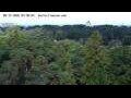 Webcam Jurmala