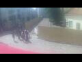 Webcam Vilnius