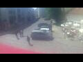 Webcam Vilnius
