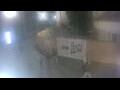 Webcam Vilnius